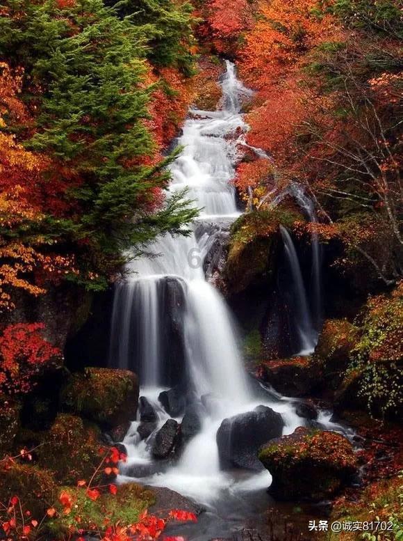 江西铅山法院:从制裁到治理,“多元共执”助推绿水青山保护